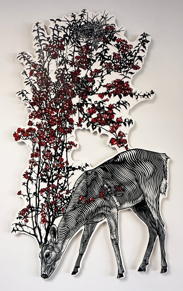 Image of Osmeivy Ortega | DEER (SHELTER)