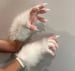 Image of Handpaws