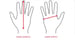 Image of Handpaws
