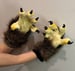 Image of Handpaws