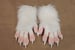 Image of Handpaws