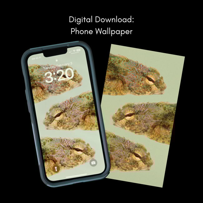 Saddleback Sculpin Phone Wallpaper