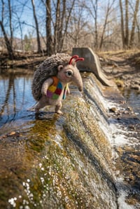 Arlen Crosses a Stream (Digital)