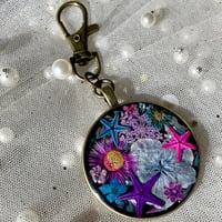 Image 3 of Coneflower 