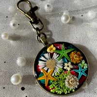 Image 3 of Shasta Daisy