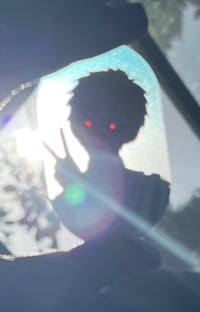 Image 4 of TSHD Frosted Charm