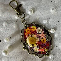 Image 3 of Moonflower