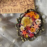 Image 4 of Moonflower