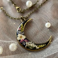 Image 1 of Forget-Me-Not