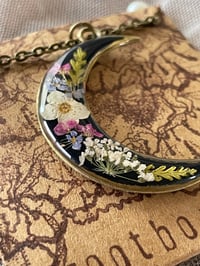 Image 3 of Forget-Me-Not