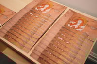 Ingenmannsland av Matriarkatet (2026)