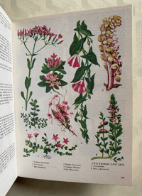 Image 4 of The Oxford Book of Wild Flowers Pocket Edition