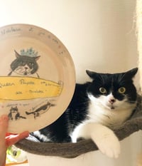 Image 4 of Cours de tournage lundi 18H30