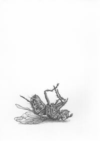 Image 1 of Death in three acts , Act 2