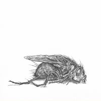 Image 2 of Death in 3 acts - Act 1