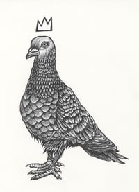 Pigeon King
