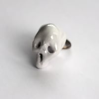 Image 2 of Grey Friend