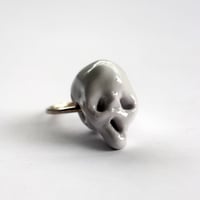 Image 1 of Grey Friend