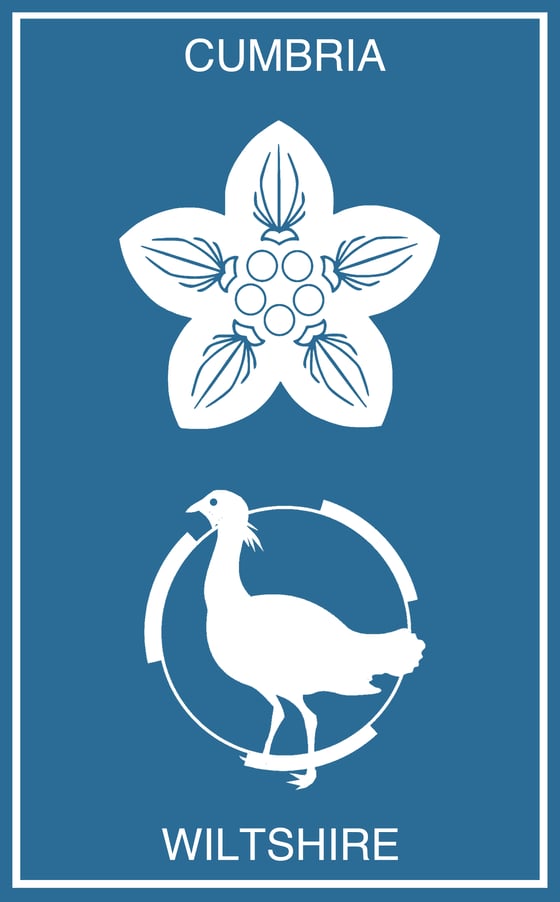 Image of Ceremonial County Tapes Vol.XXIV - Cumbria | Wiltshire