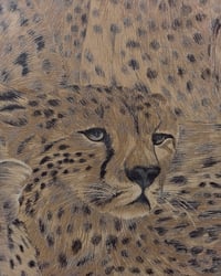 1980s Vintage Just Wild Wallpaper Rolls - Cheetah Leopard Print Safari Animals - (Set of 3 Rolls) – detail view 5