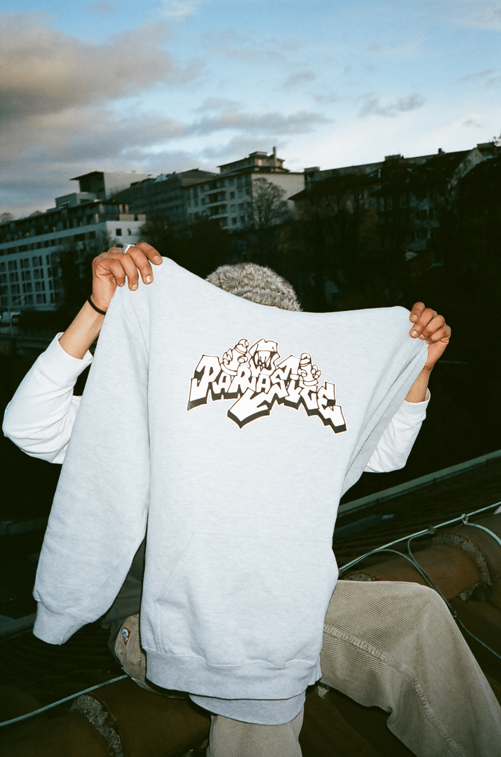 Parasite Hoddie grey