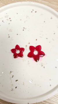 Image 3 of STELLA Pampilles 