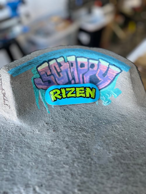 Image of Rizen Turtles