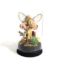 Image 1 of Blushing Phantom Butterfly Woodland Cork Dome