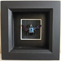 Framed - Blue Carpenter Bee