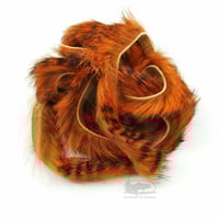 Image 2 of Rabbit Strips