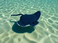Image 1 of Stingray Stuffed Toy Blue &amp; White