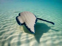 Image 2 of Stingray Stuffed Toy Blue &amp; White
