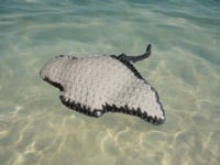 Image 2 of Stingray Stuffed Toy Gray &amp; White