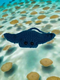 Image 3 of Stingray Stuffed Toy Blue &amp; White