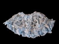 Image 2 of Baby Lacy &amp; Soft Poncho