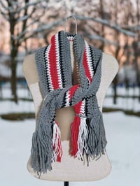 Image 1 of Scarlet &amp; Gray Crocheted Fringed Scarf