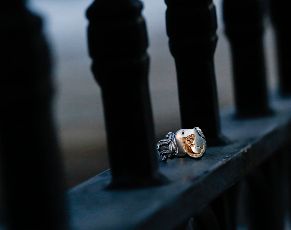 Image of Fish Signet Ring