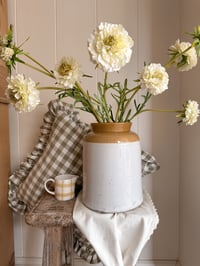 Image 1 of Luxury Soft White Scabiosa ( 3 Sprays Included )