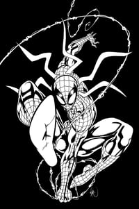 Spidey 002
