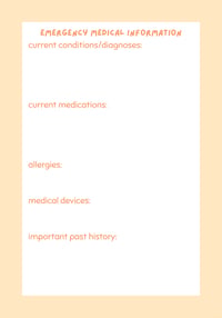 Image 3 of My Medical Binder PDF ONLY