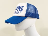 Image 2 of Wayne Devils Hat