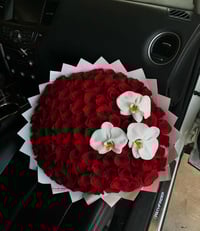 50 roses and orchids 