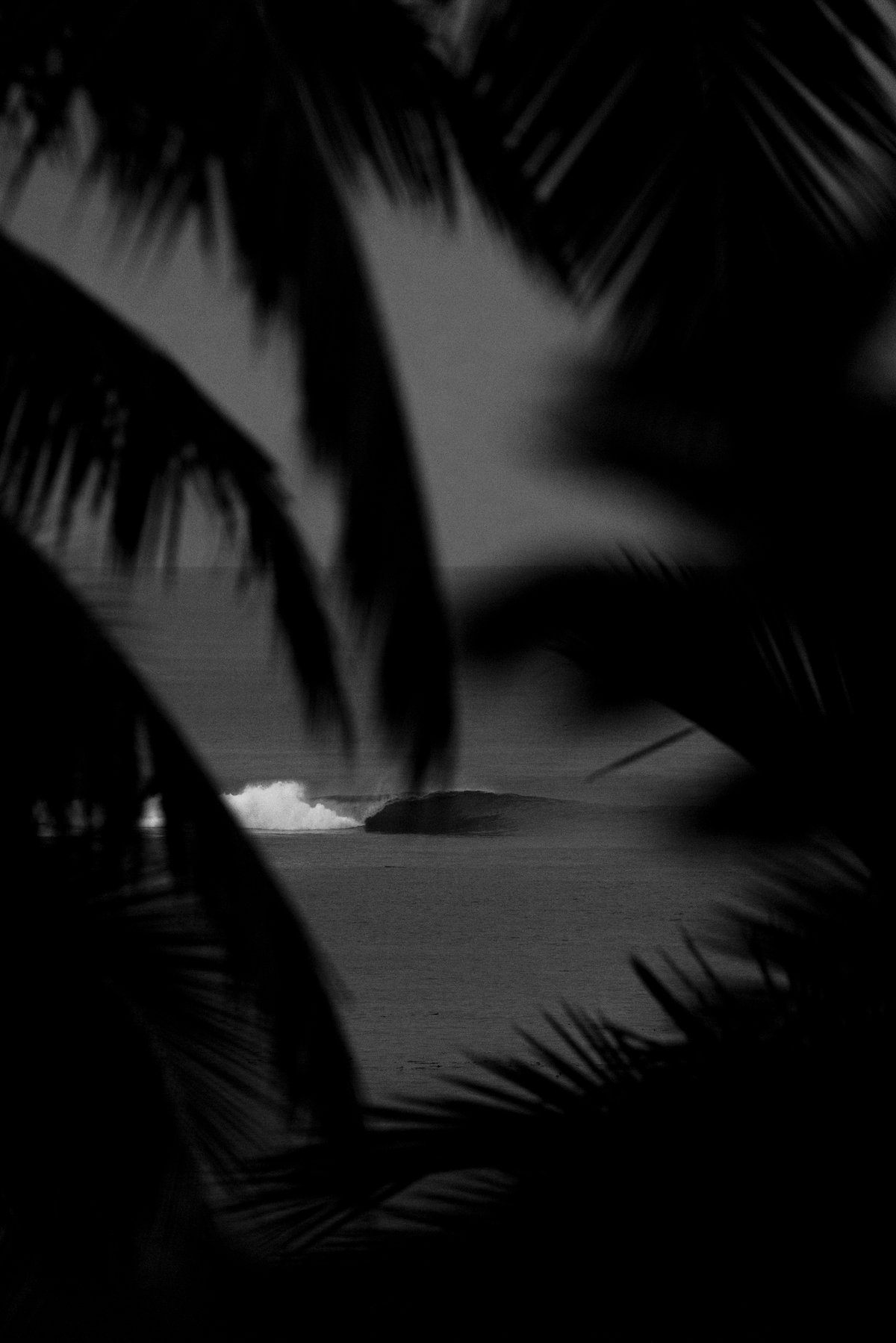 Image of Dark Paradise