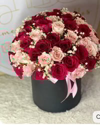 50 roses in a box