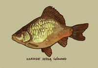 Image 1 of Karasie jedzą gówno print/sticker