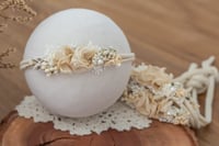 Image 2 of Stretch Tieback 37