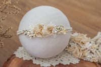 Image 1 of Stretch Tieback 37