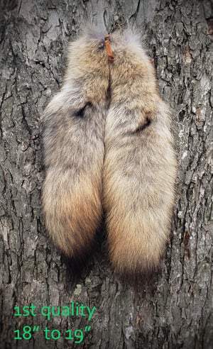 Image of Coyote Tail Keychain