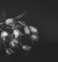 The Rejects 2025: Together We'll Weep