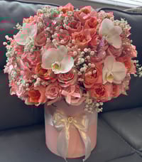 orchids in pink Romance 